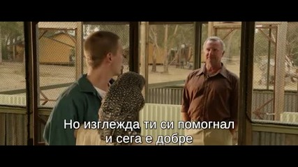 Излекуване (2014)