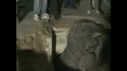 Слонче заклекещено в шахта