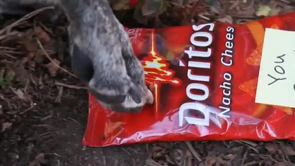 Doritos Super Bowl- Реклама