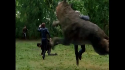 Eclipse Tv Spot Missing 