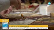 Раковски посреща Коледа с мащабна Витлеемска пещера и подаръци за всяко дете