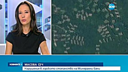 Незаконна сеч в горското стопанство на Минерални бани