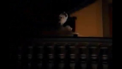 Lara Fabian - Adagio (prevod)