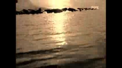 Prison Break - Numb