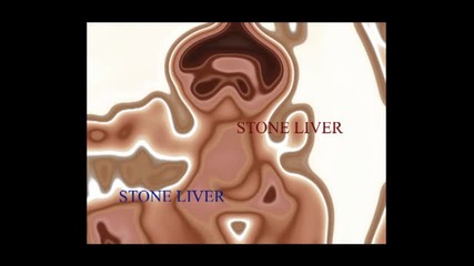 Stone Liver - Hymen