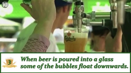 10 неща, които трябва да знаете за бирата