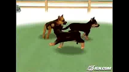 Nintendogs