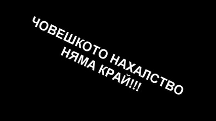 Човешкото Нахалство Край Няма !!! 