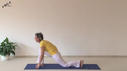 Intermediate Sun Salutations Variations