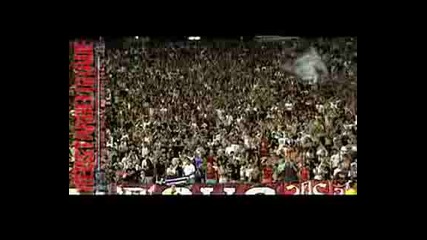 23.7.08 Навиячи: Цървена Звезда - Рудар Велене