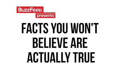 Факти, които няма да повярвате, че всъщност са истина
