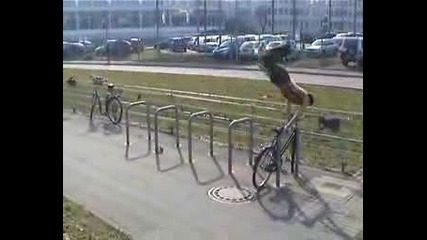 Parkour - Инцидент (1)