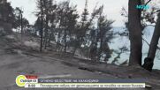 Върнаха ли се туристите в Сивири след големия пожар