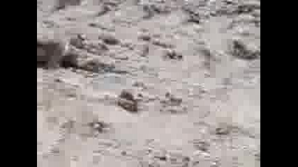 Off Road 4