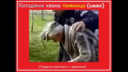 Видео - (2015-01-02 13:13:18)
