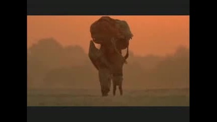 Dailymotion - Mickael Jackson Allah - une video Musique 
