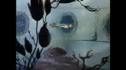 Tom and Jerry - The Cat And The Mermouse Hq 