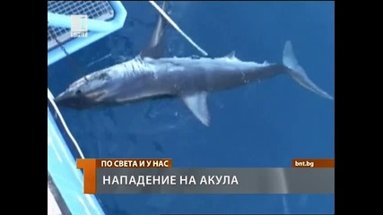 Акула Убиец - Като във филма Челюсти!!!