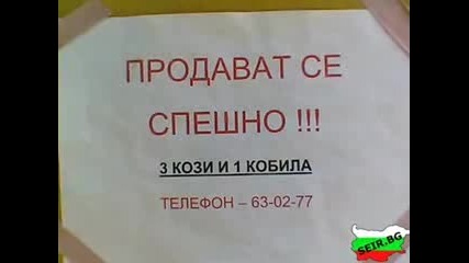 Това Може Да Се Види Само В България 1