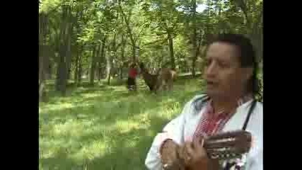 Wayanay Inka - - - Pastorcita Remake