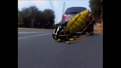 The Kamikaze Wasp!
