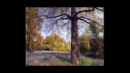 Enigma - Age of loneliness 