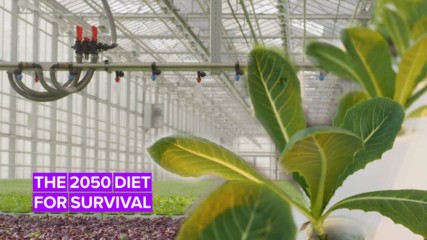 We need to start changing the way we eat