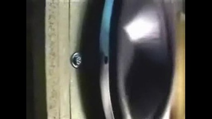 Bass