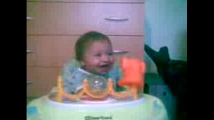 bebe smqx