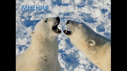невероятни животни. част 2