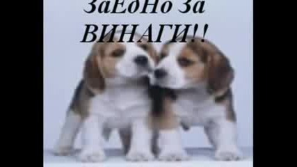 Приятели Завинаги