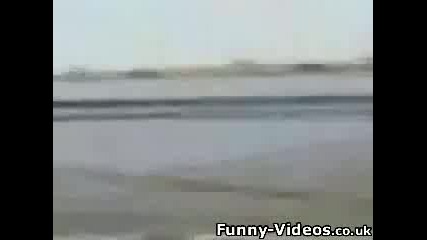 отмъщението на рибата (смях)