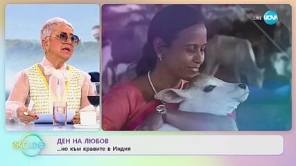 Ден на любов ...но към кравите в Индия - „На кафе” (14.02.2023)