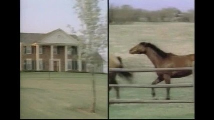 Ozzy Osbourne - The Ultimate Sin (1986)