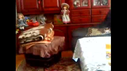 Снежка гледа Tv :dd