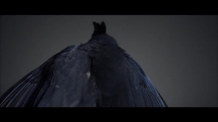 Drake - Take Care ft. Rihanna