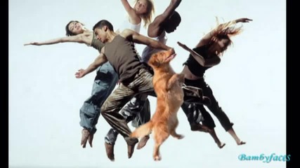 Trick and Kubic - Doggie Dance 