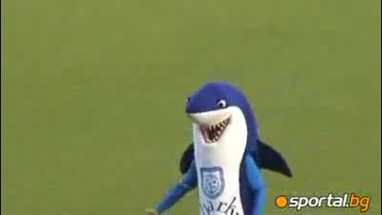 Chernomoretz shark in attack 