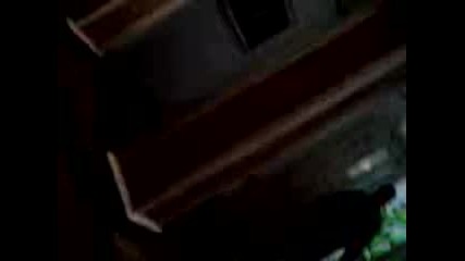 Nai-golemite shopari v Chirpan ;}
