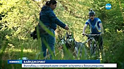 Bikejoring: Вълнуващ и непредсказуем спорт за кучета и велосипедисти