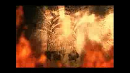 Hammerfall - any means necessary 