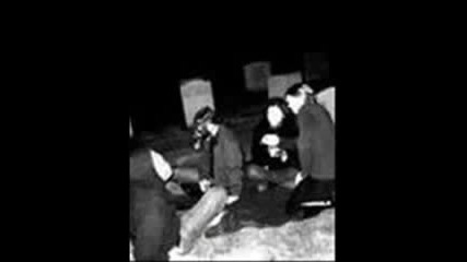 Lifelover - Brand