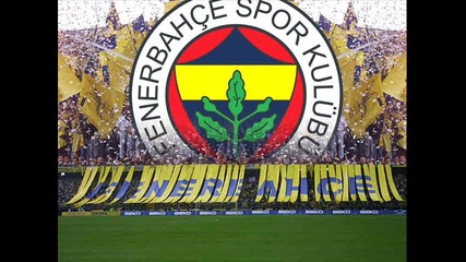 * *fenerbahce* *2010 - -