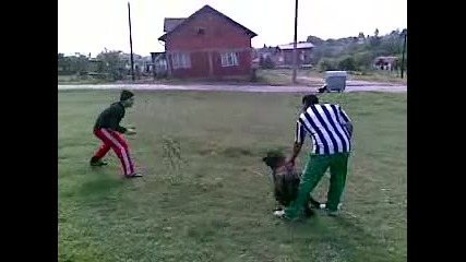 13052009 (003)