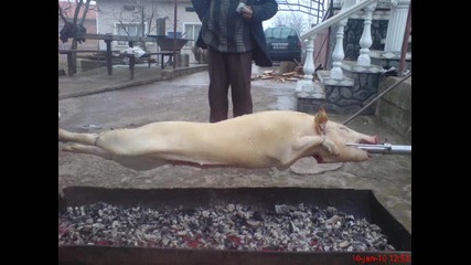 Qko Klip4e Na Go6o