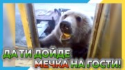 Да ти дойде мечка на гости ! Изцепки със смели играчи срещу руски МЕЧОЦИ !