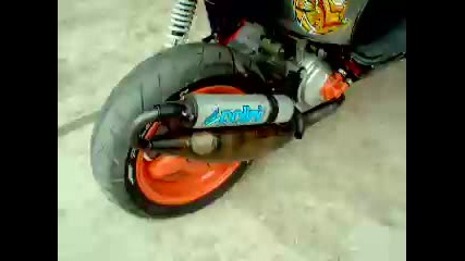 Malaguti f12 - exhaust polini