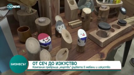 Компания превръща мъртви дървета в мебели и изкуство
