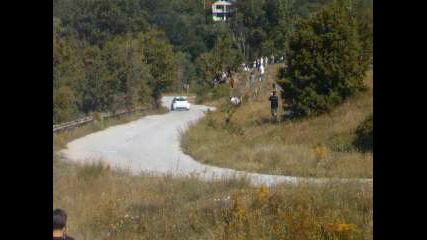 Рали България 2010 