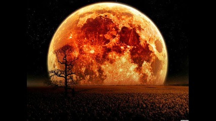 Meeting Under The Moon